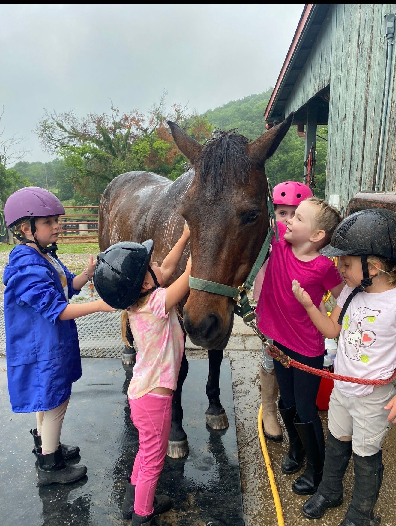 Children pet a horse in helmets beside a barn on a rainy day