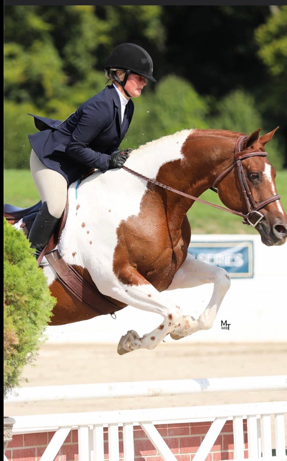 Equestrian rider in black jacket and helmet jumping a white-and-brown horse over a fence
