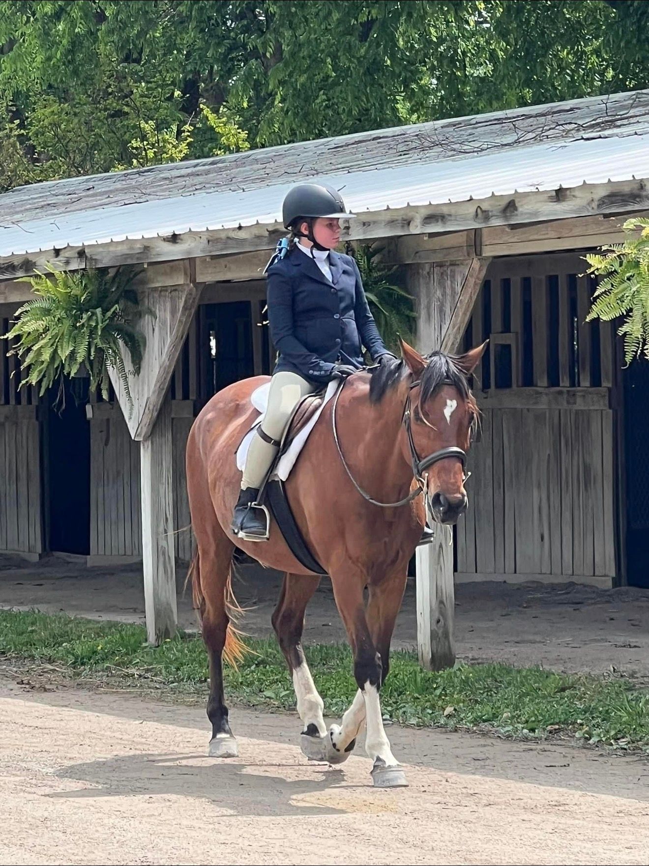 Rider on a brown horse standing outside a stable