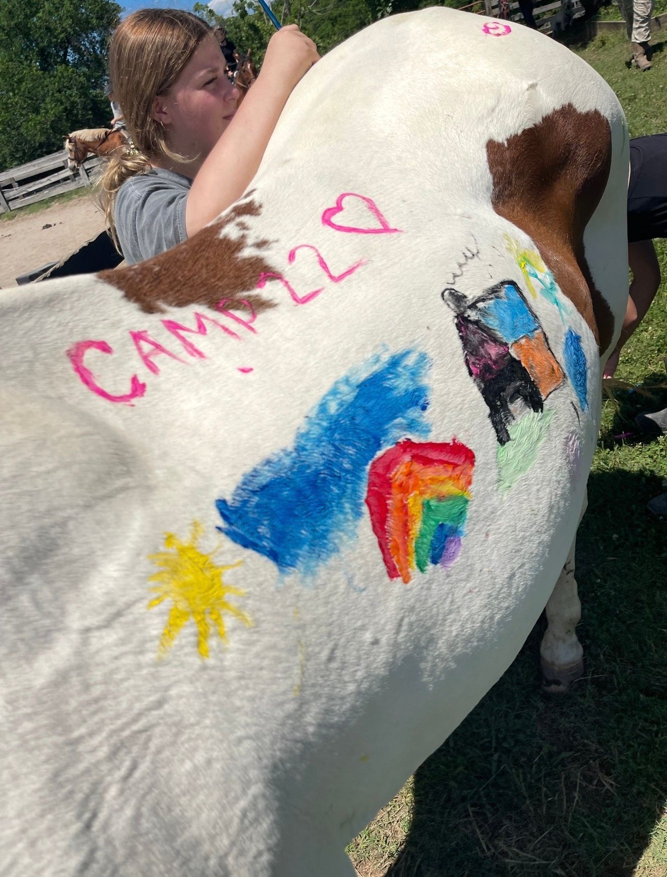 Painted horse with colorful drawings and “CAMP 2020” written on its side outdoors