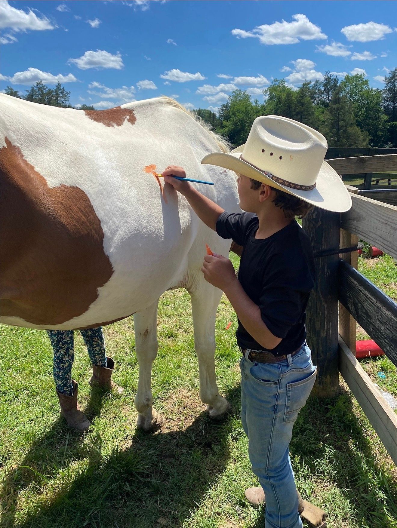 Person in a cowboy hat petting a brown-and-white horse in a sunny pasture by a fence