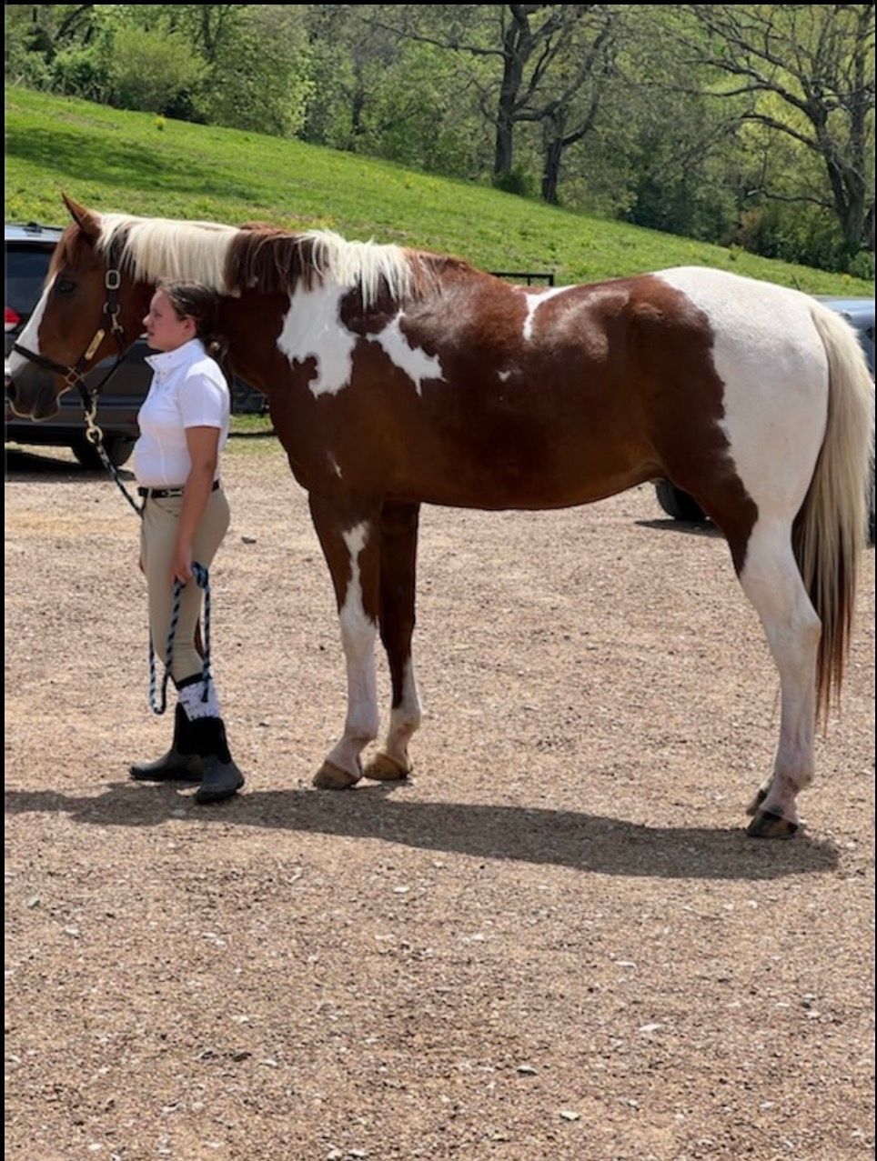 Person standing beside a brown-and-white horse outdoors on a gravel path