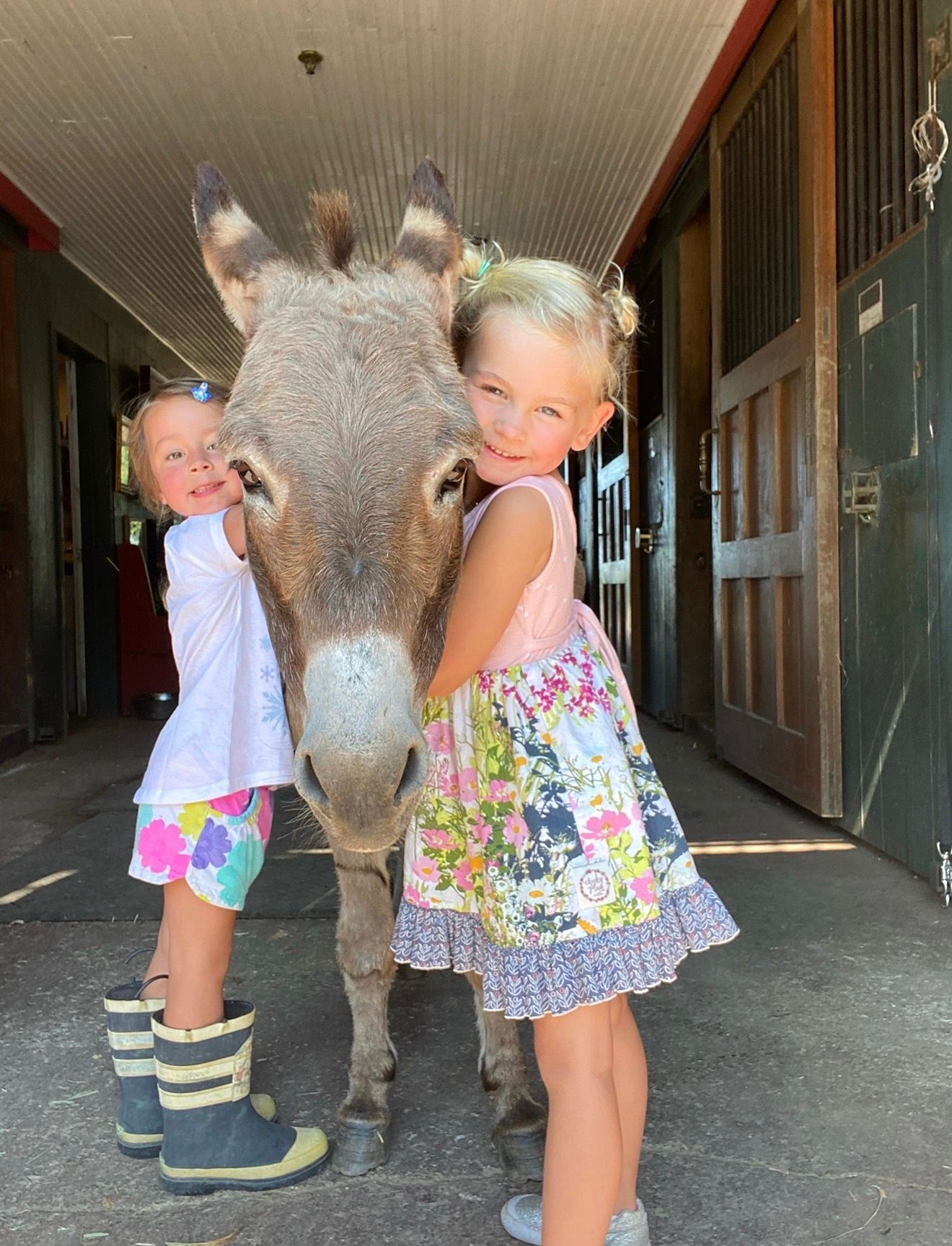 Two children hugging a donkey in a barn aisle, one in striped boots and one in a floral dress.