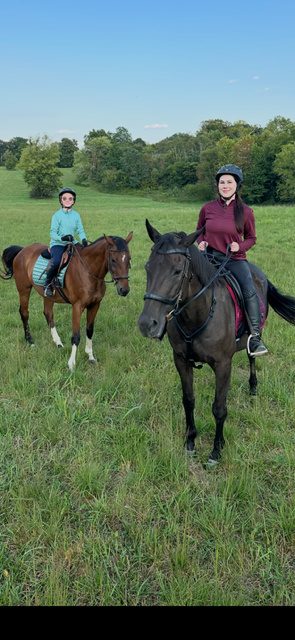 Two people ride horses in a grassy field. The sky is blue. Trees are in the background.