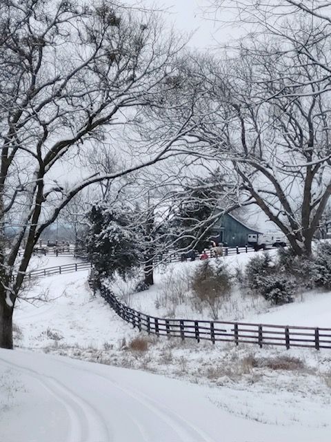 Snow-covered rural landscape with trees and a blue barn. A fence lines a snowy path.