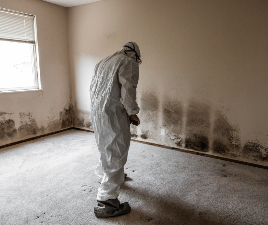 mold smells like cigarette smoke What Does Black Mold Smell Like?
