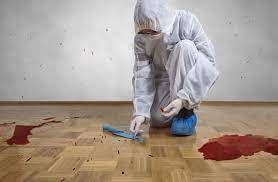 Biohazard cleanup consultation taking place with team expert.
