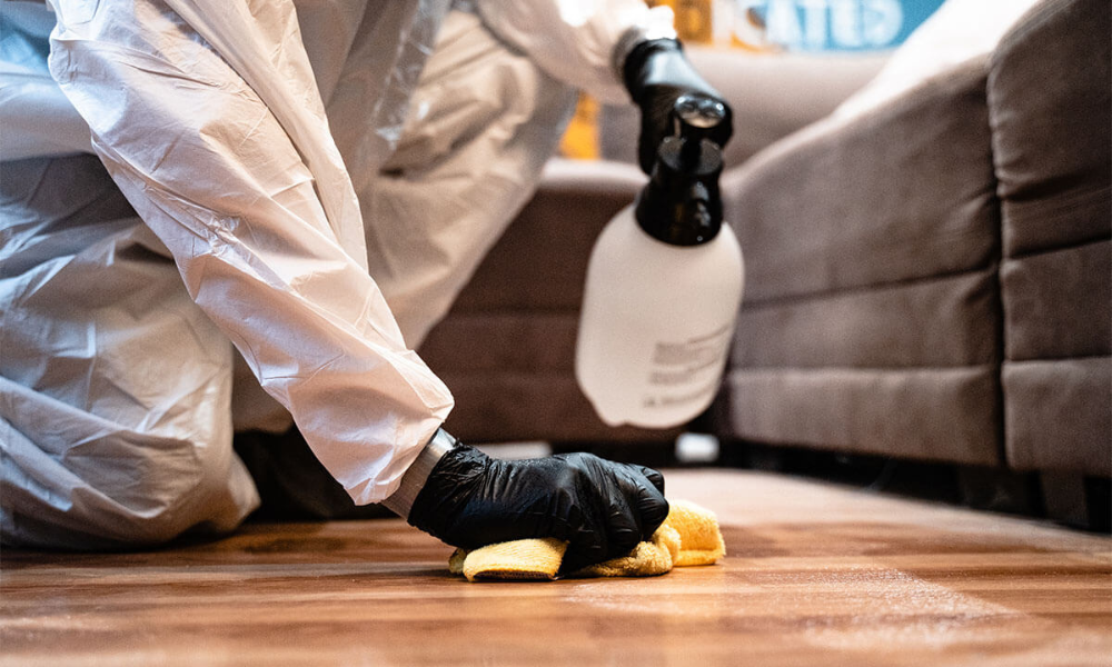 Residential property cleanup services in South Florida.
