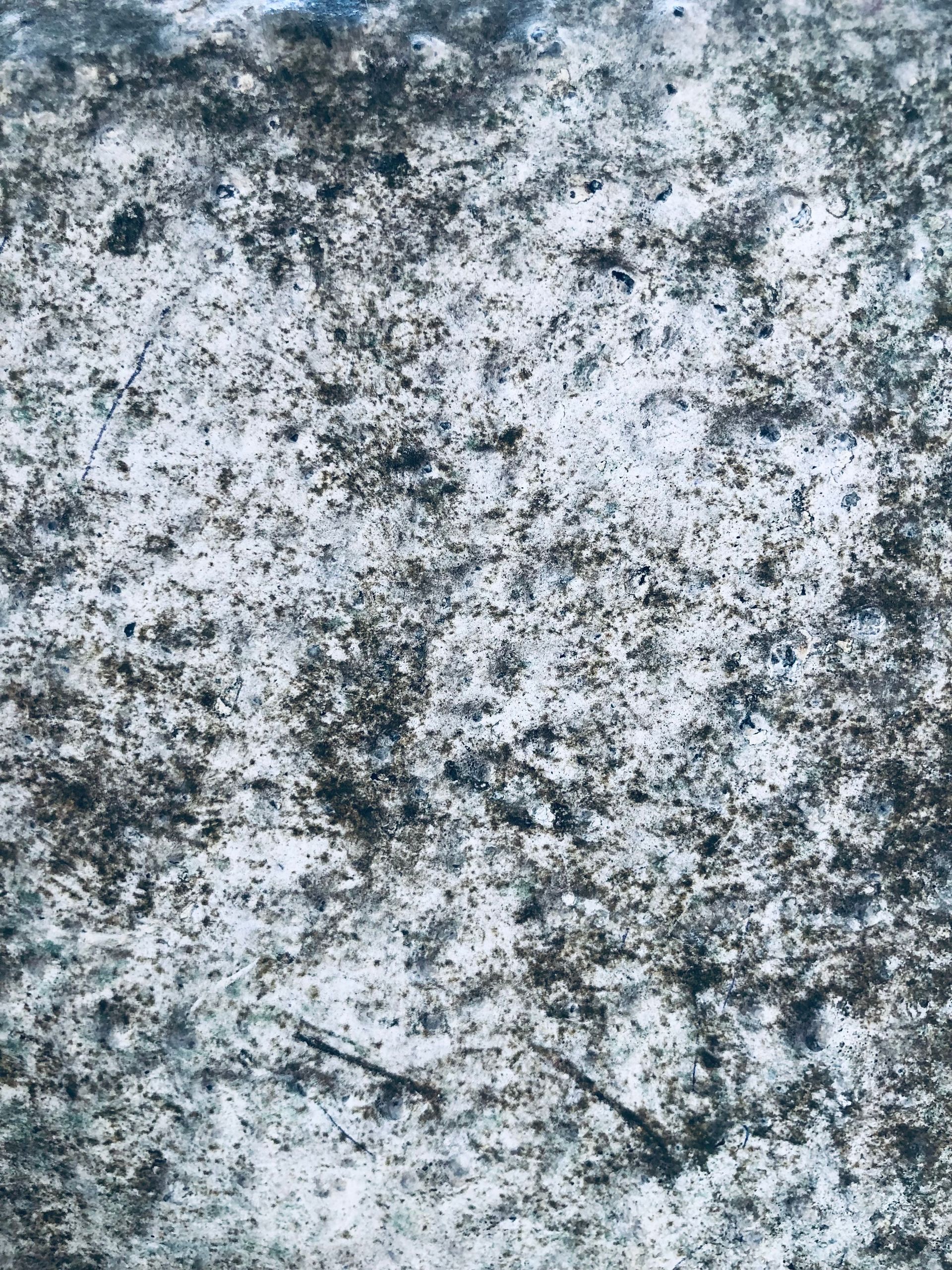 Professional mold remediation services in Broward County FL restoring indoor air quality