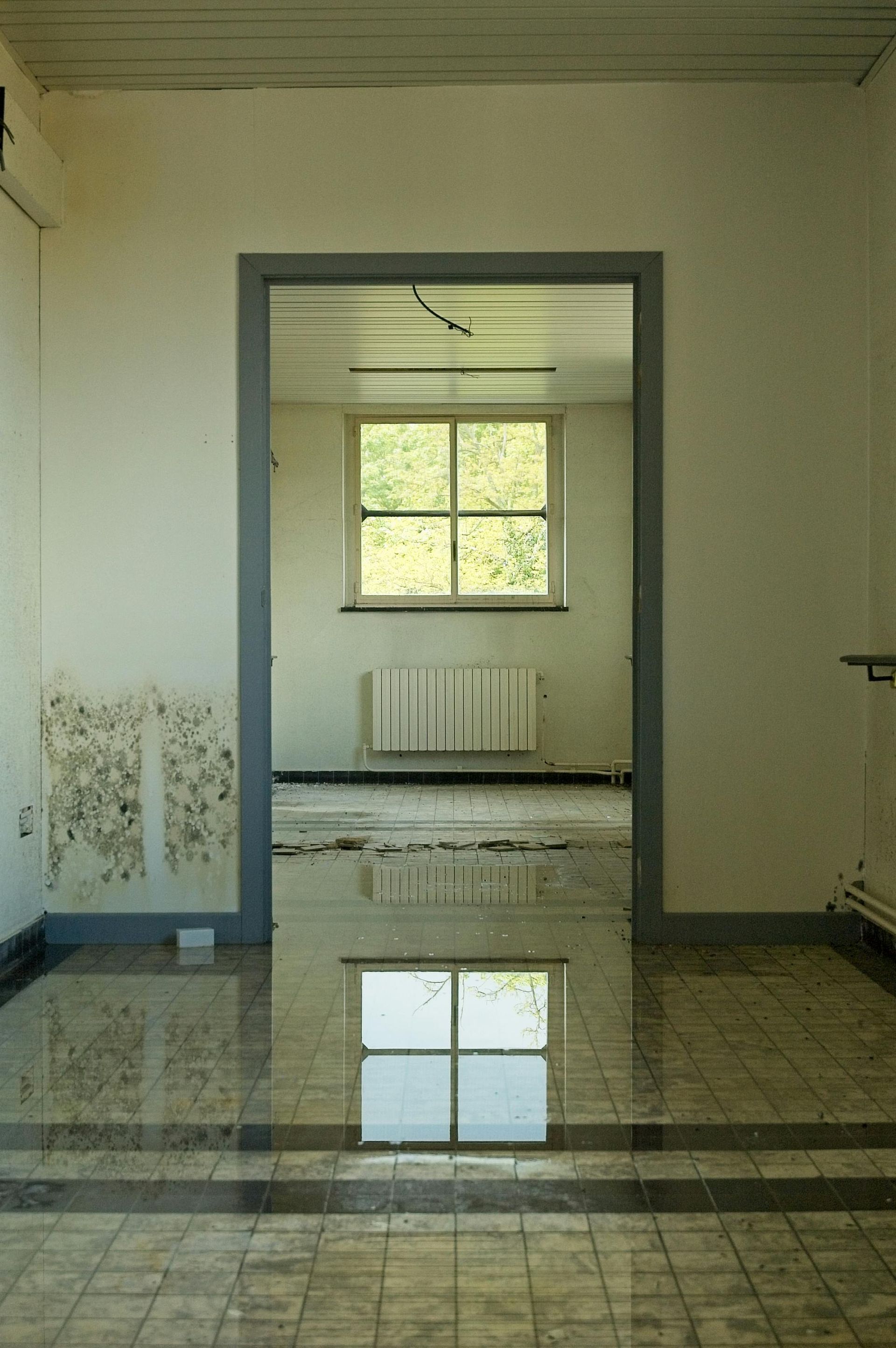 Water damage restoration experts Lee County FL