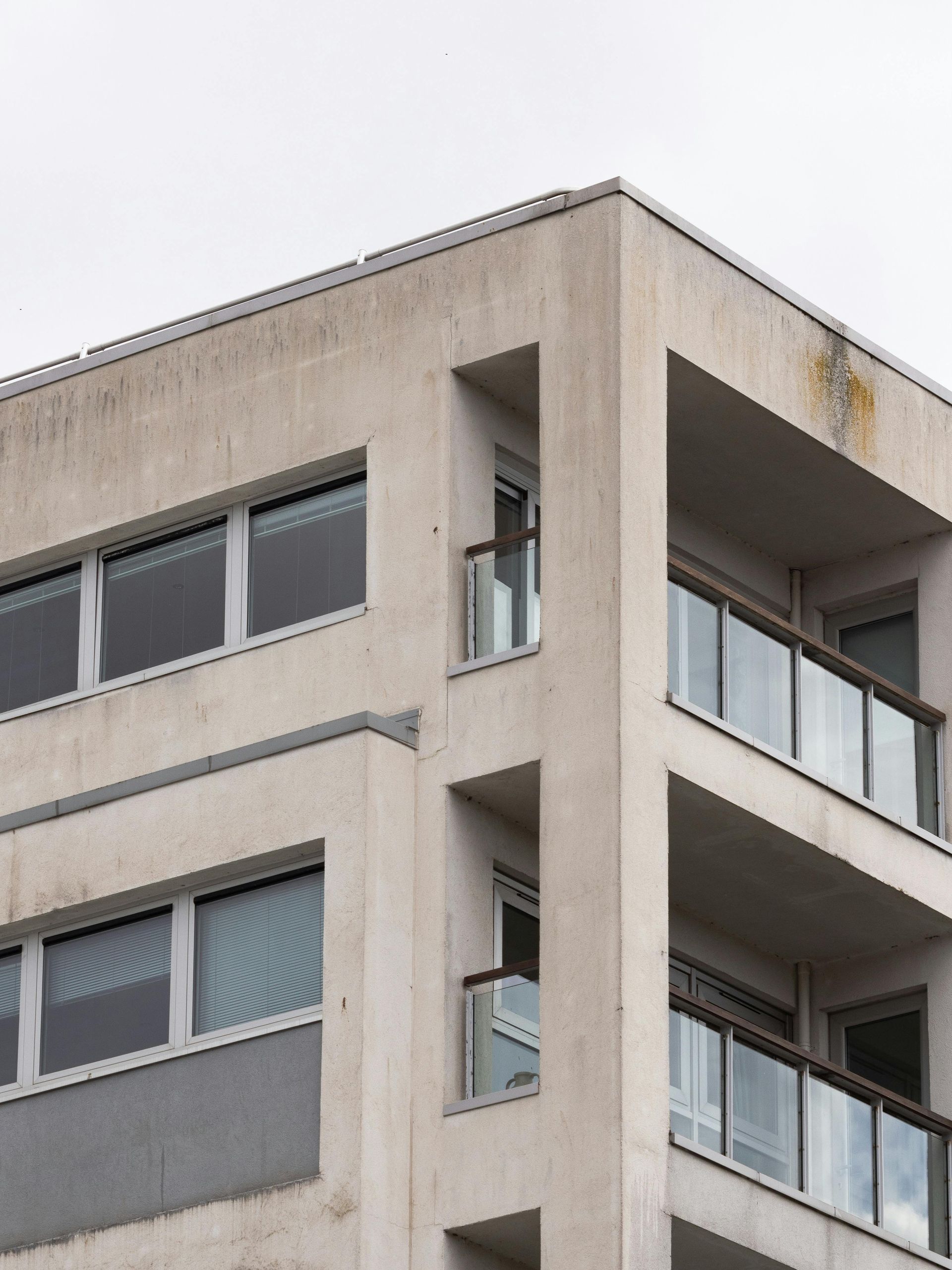 How Fast Mold Spreads in Commercial Buildings in Fort Myers