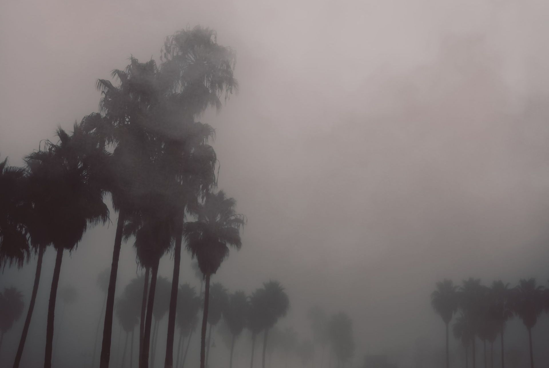 Storm hitting South Florida causing property damage.