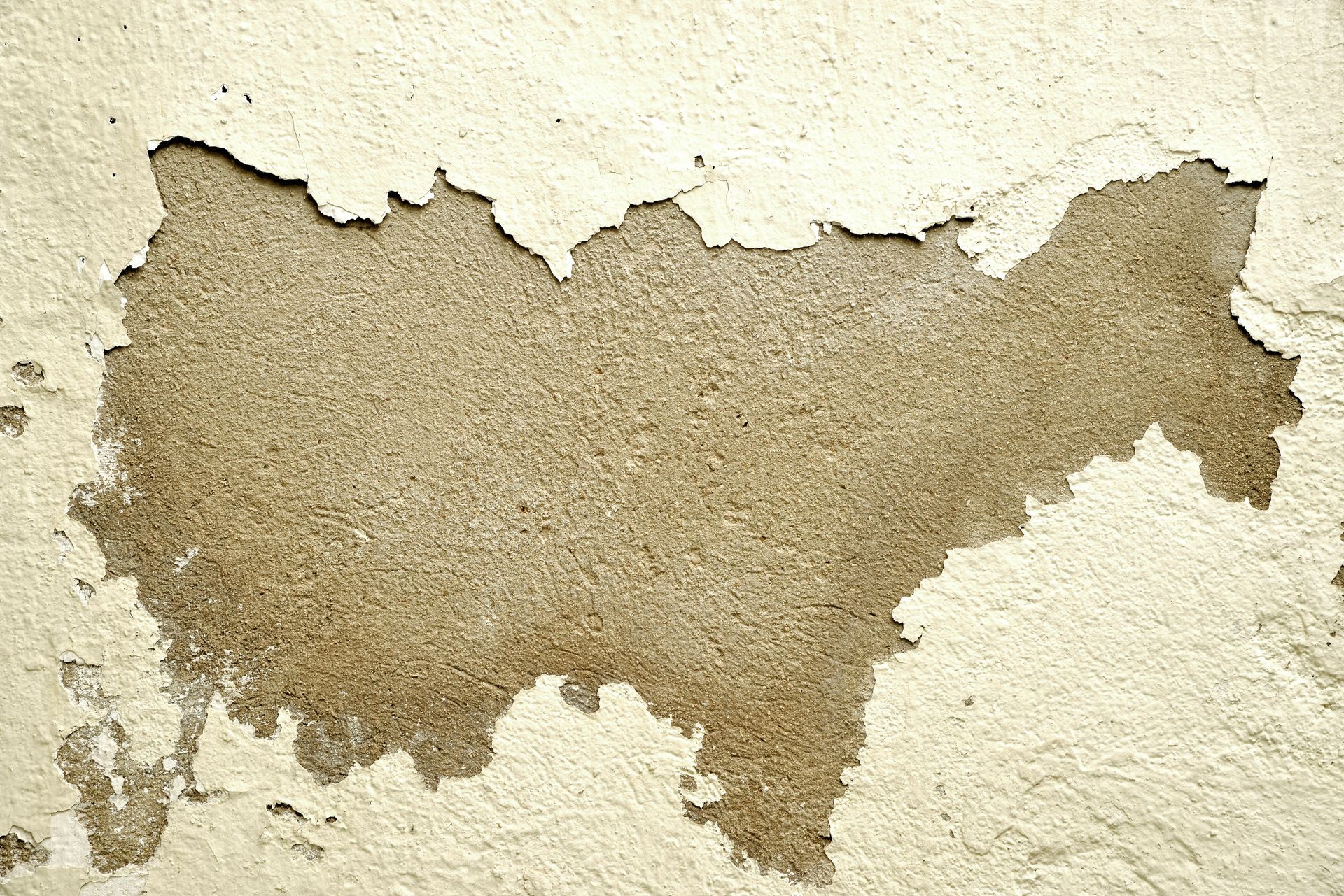 Florida home interior showing high humidity and moisture buildup in areas prone to mold growth