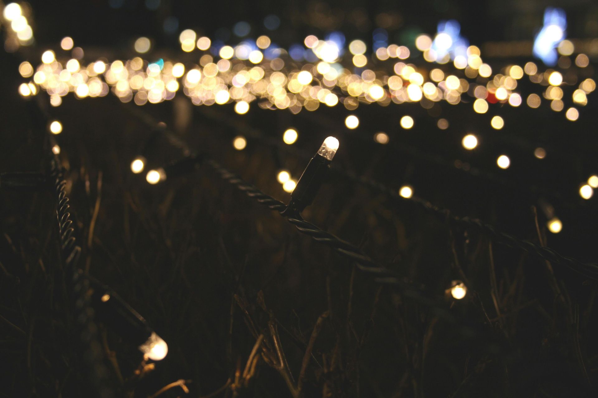 Bright Christmas lights that could contribute to house fires.
