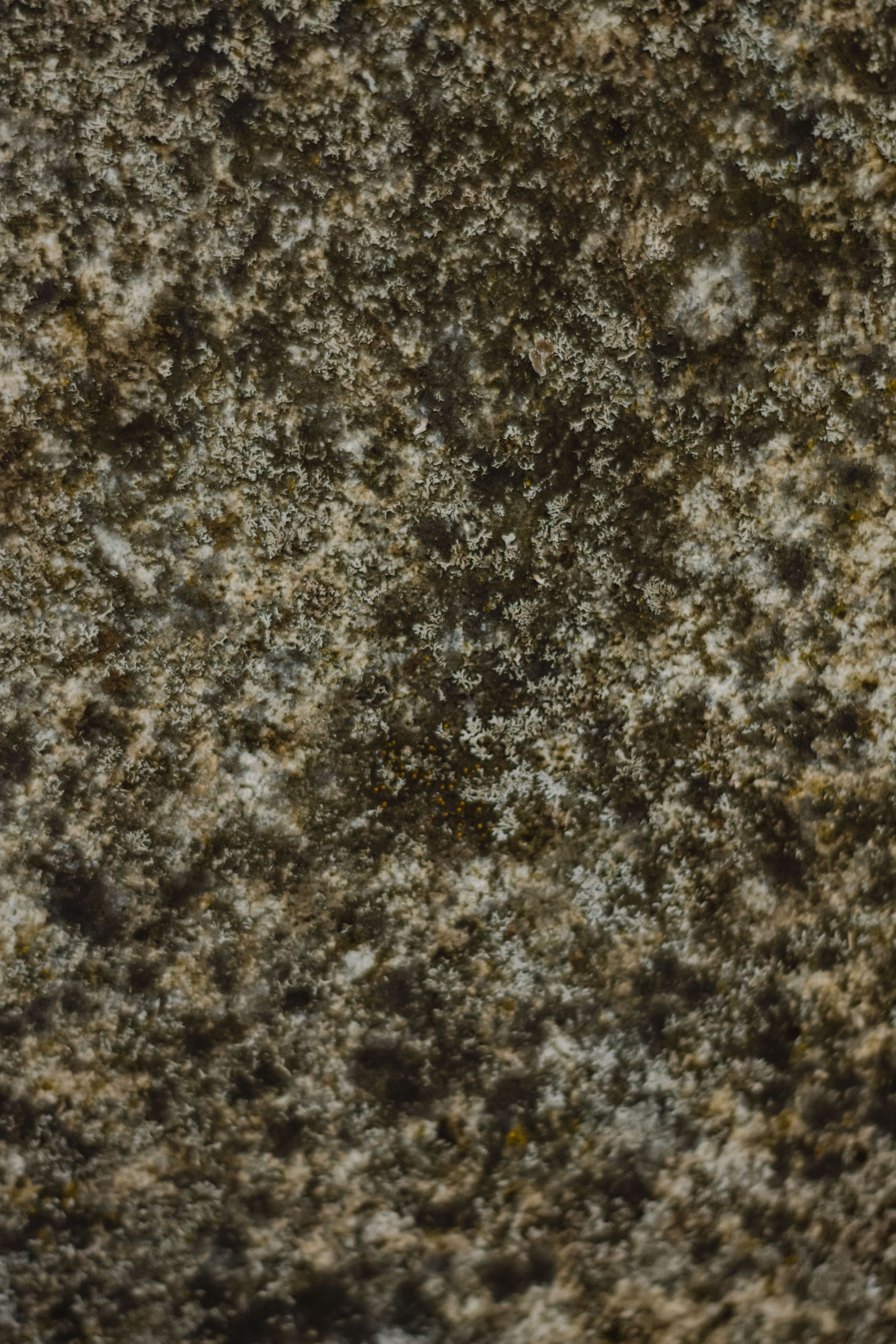 Dark mold growth spreading inside a wall due to prolonged moisture exposure