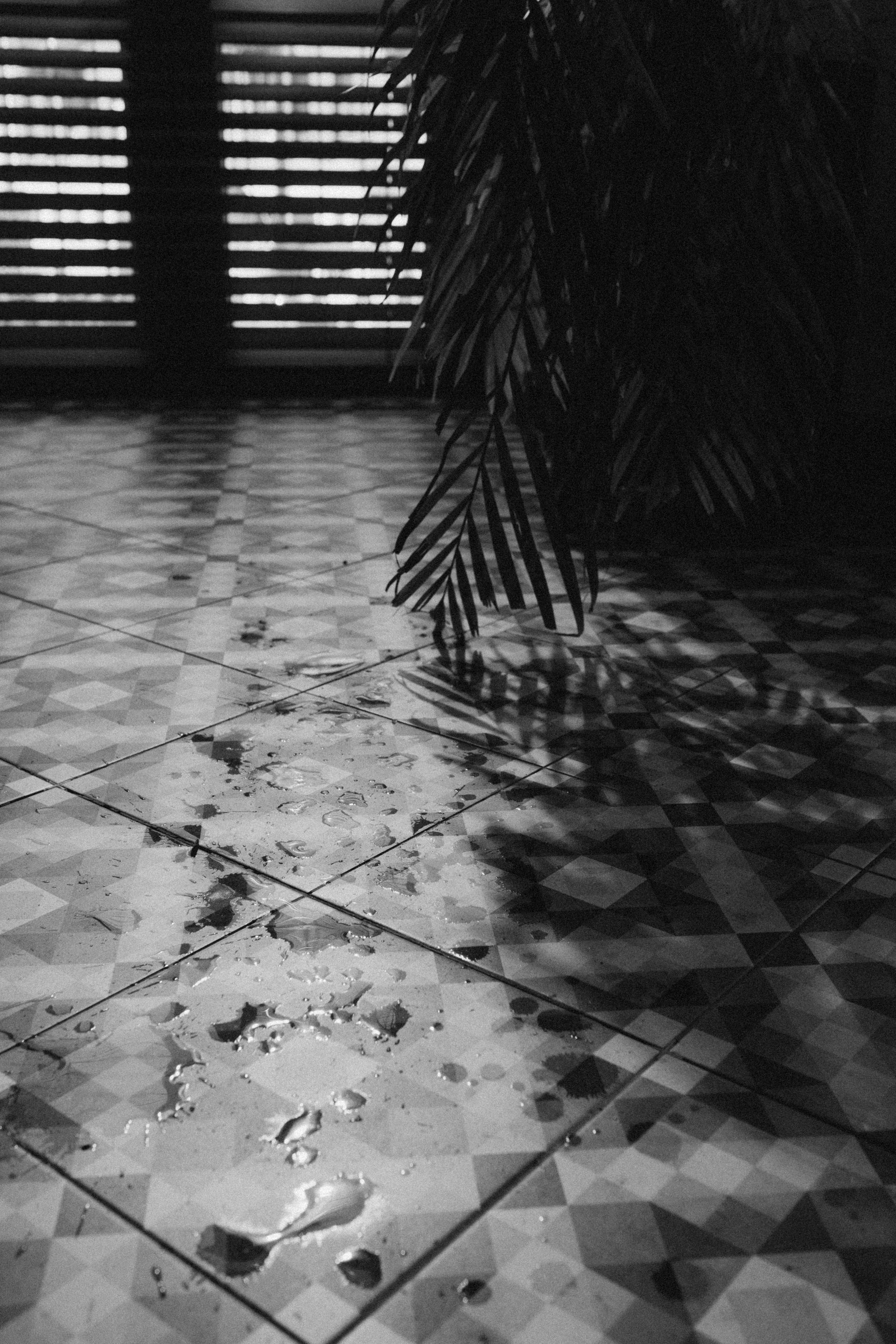 Close-up of water damage in a Fort Myers home after a leak, showing wet floors and standing water