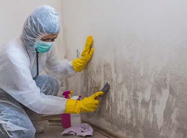 Removing mold from wall in Fort Myers residential property.
