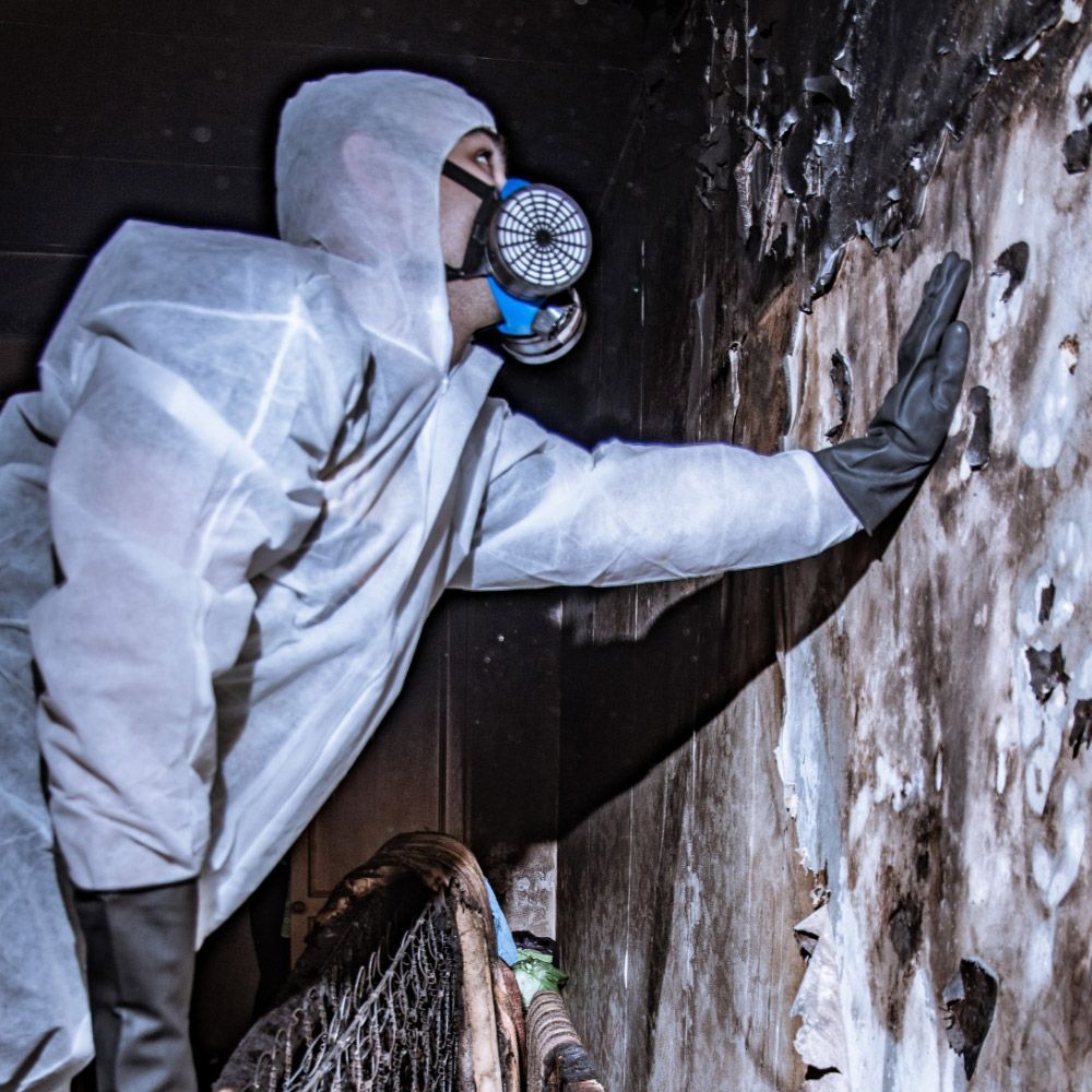 Expert consultation for residential smoke damage restoration.
