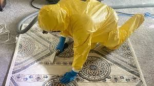 Carpet cleaning covered in biohazard cleanup services for Fort Myers residential home.