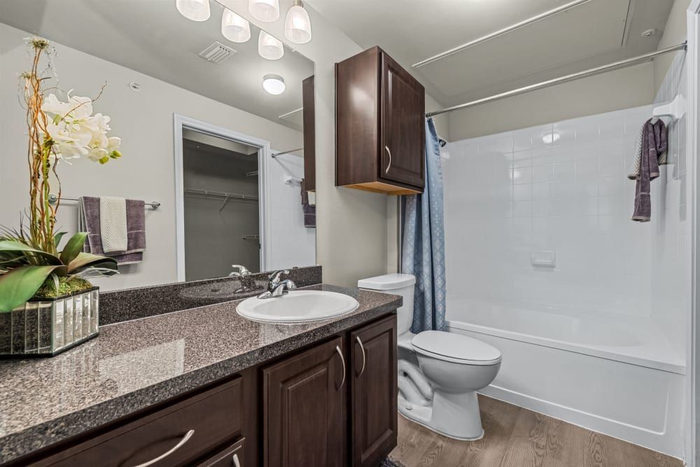 Modern bathroom interior with dark wood cabinets and granite countertop, undermount sink with a mirror above it, and a full bathtub with a white tiled surround and blue shower curtain. Decor includes towels and a plant arrangement, with a view into a walk-in closet with shelving at Brooks on Preston in Plano, TX.