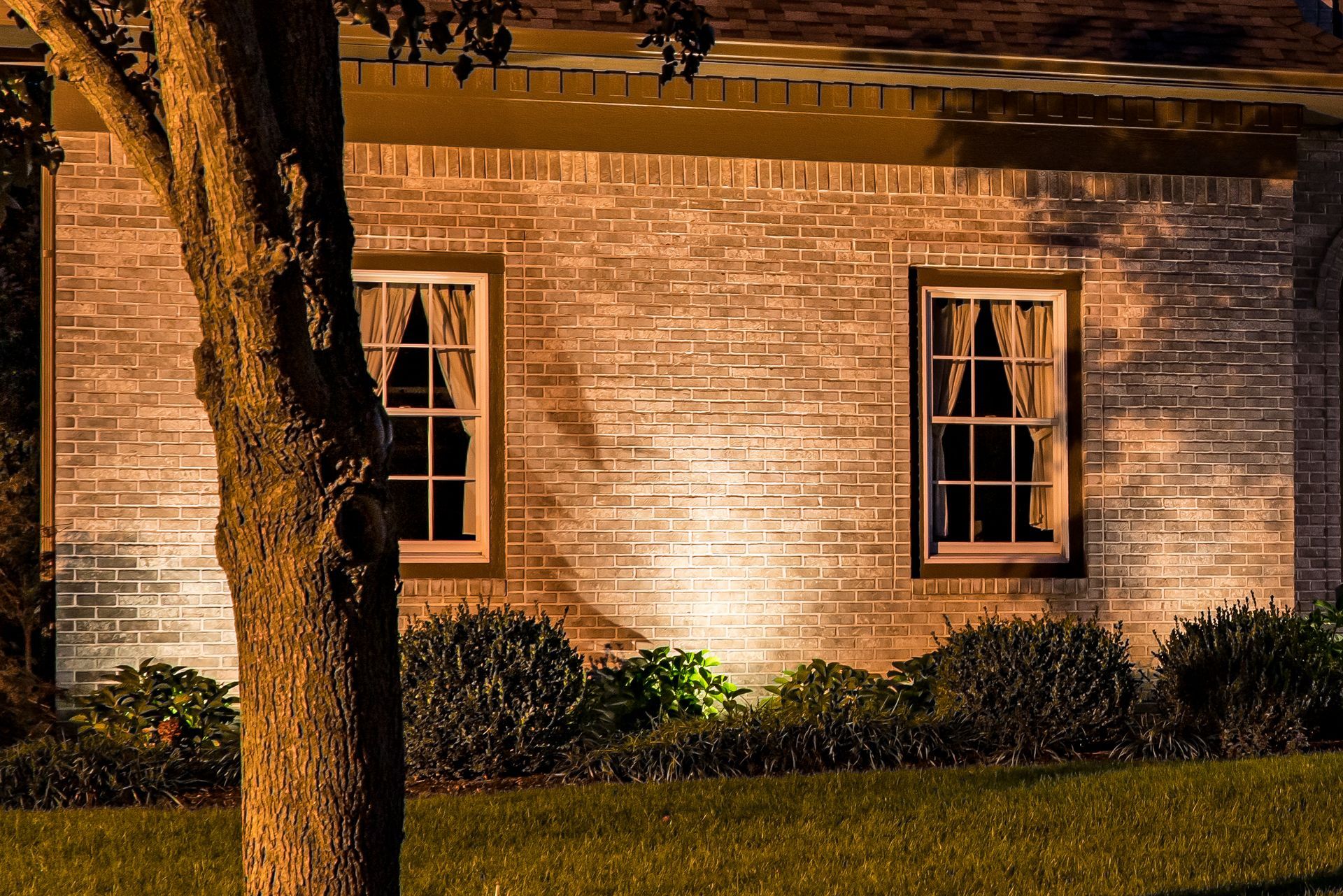 Brick building at night with two lit windows and a tree trunk in the foreground.