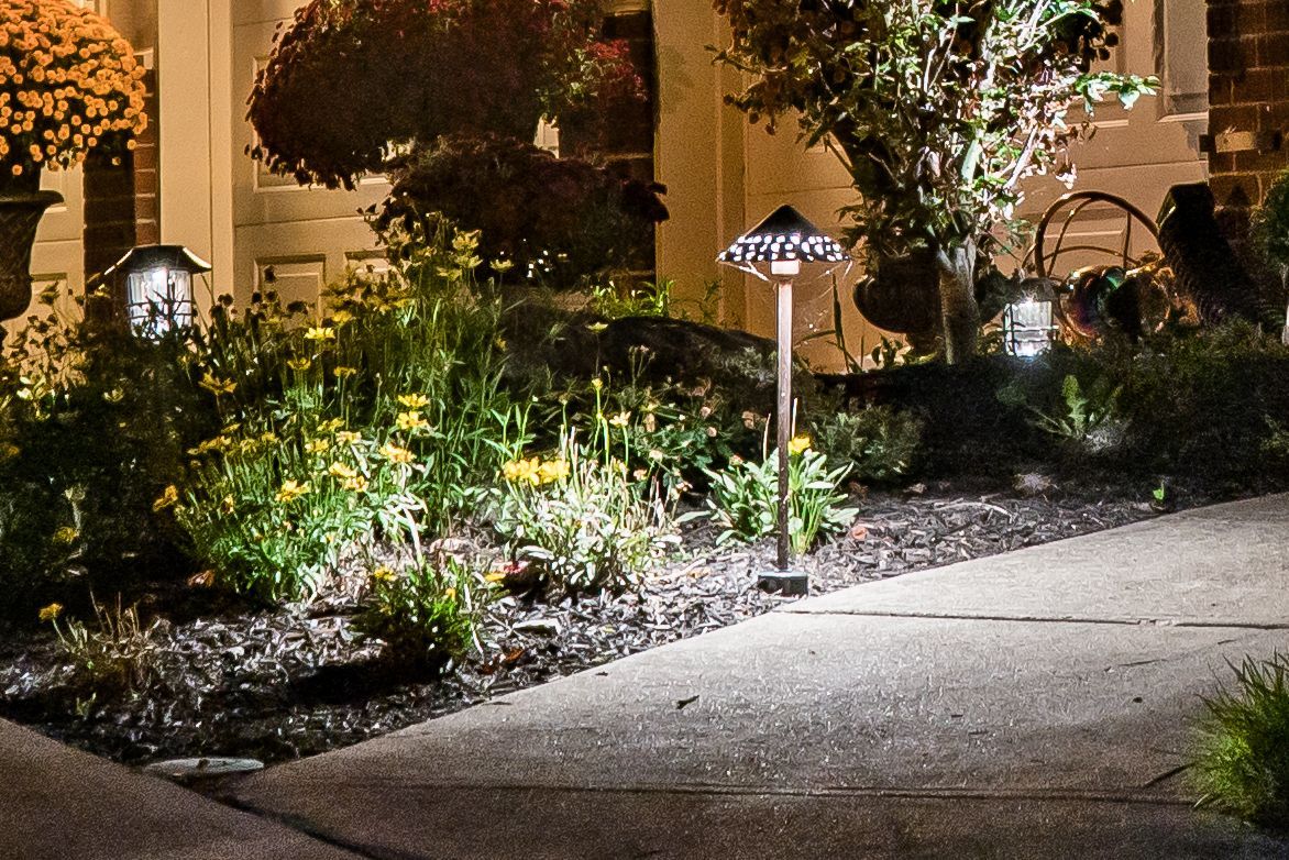 Lit garden bed with path. Outdoor lights illuminate plants and walkway at night.