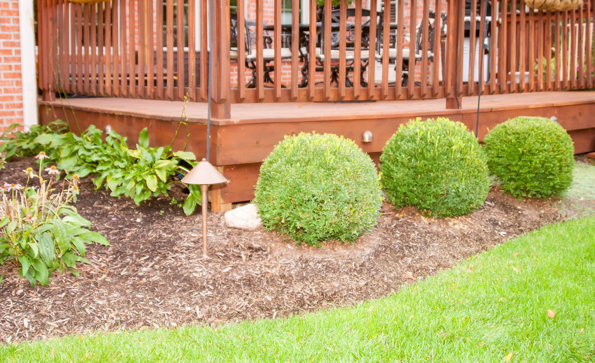 Brown wooden deck with three green, round bushes in front, bordered by mulch and lawn.