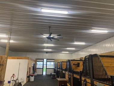 Interior of a horse stable with stalls, metal ceiling, lights, and a ceiling fan.