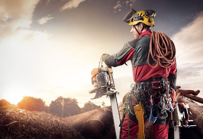 Arborist wearing safety gear, holding chainsaw, looking at a golden sunset over a field.