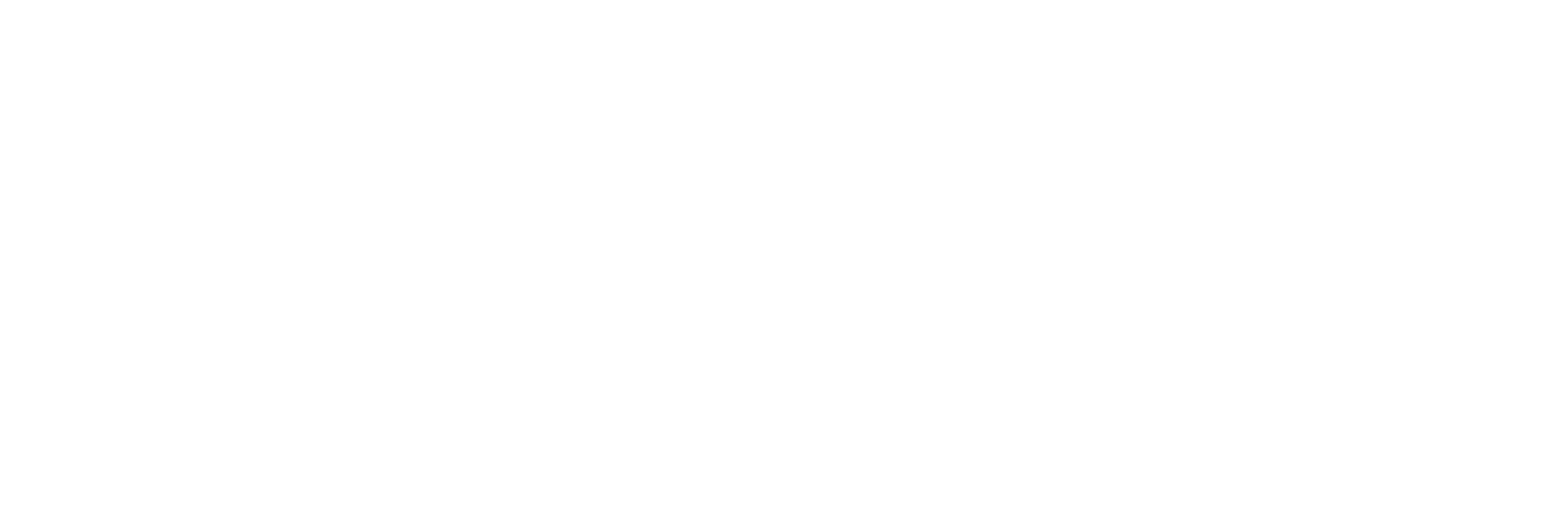 VISA logo
