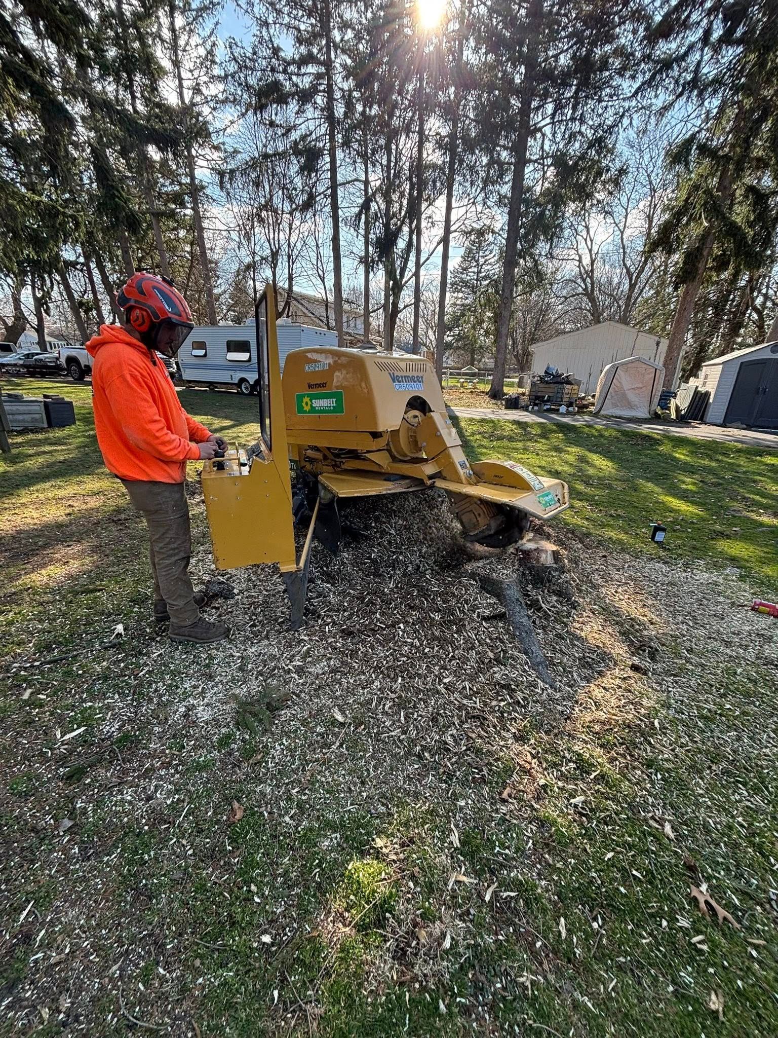 A person in a bright orange hoodie operates a yellow stump grinder in a grassy, wooded area filled with wood chips.