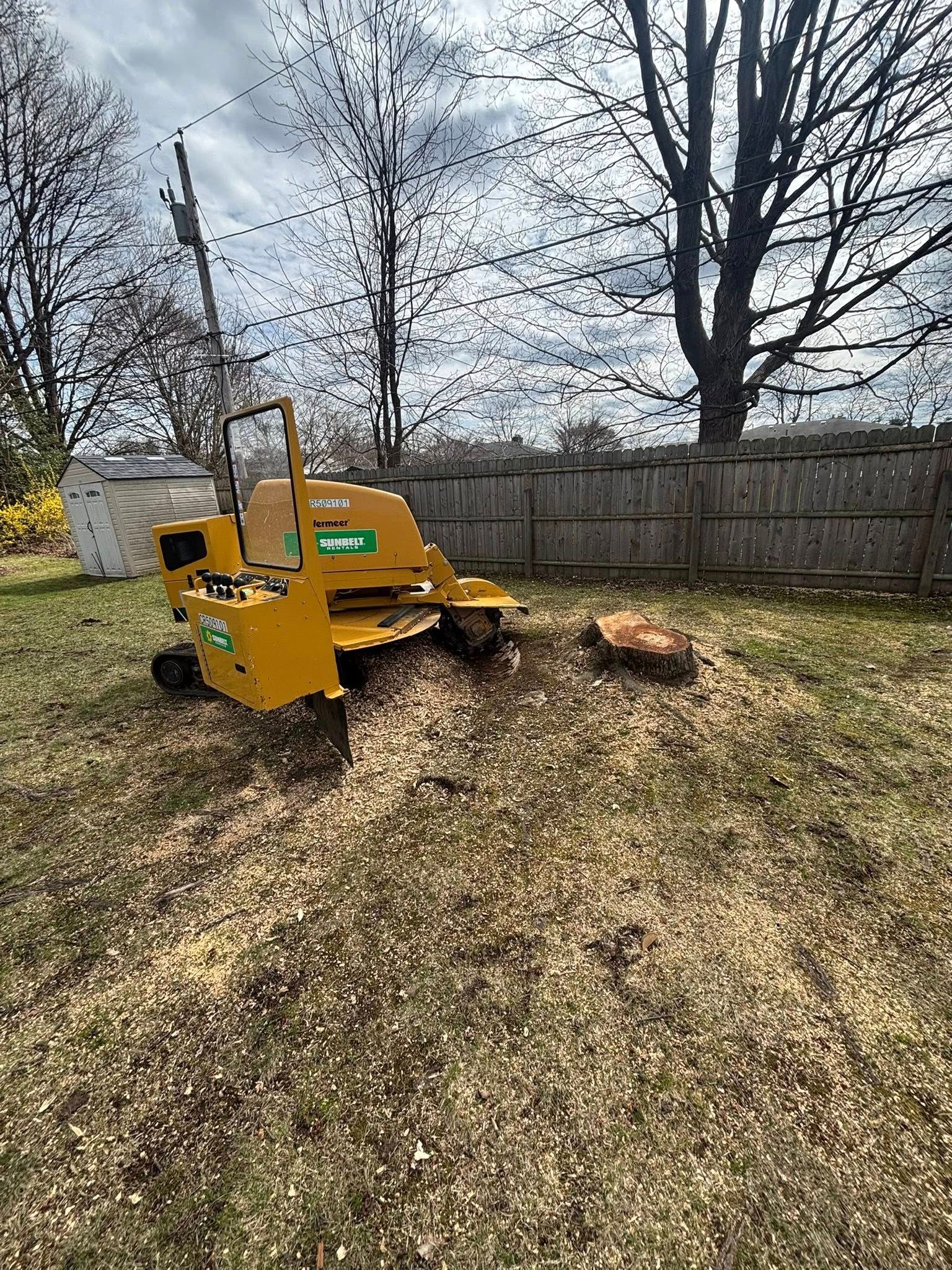A yellow stump grinder sits on a lawn covered in wood chips next to a partially ground tree stump and a wooden fence.