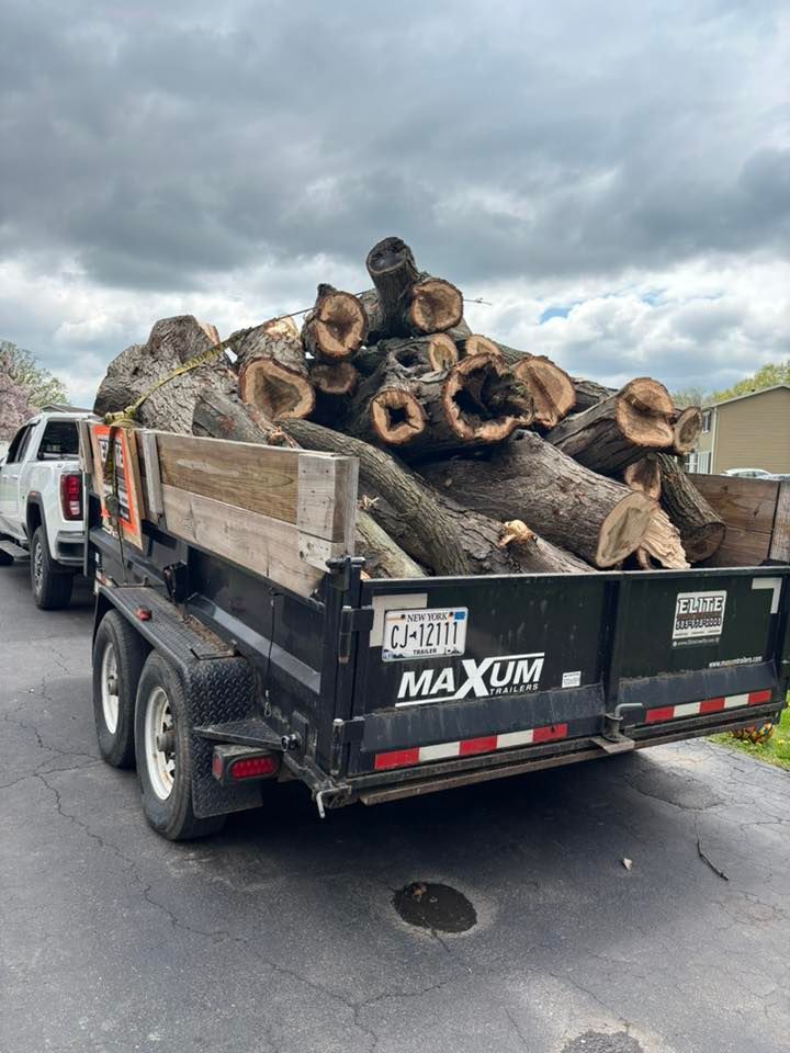 A white truck pulling a black Maxum utility trailer filled with a large, heavy load of cut tree logs on an asphalt drive.
