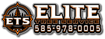Logo for Elite Tree Service featuring a circular tree icon and the phone number 585-978-0005 in tan and black.