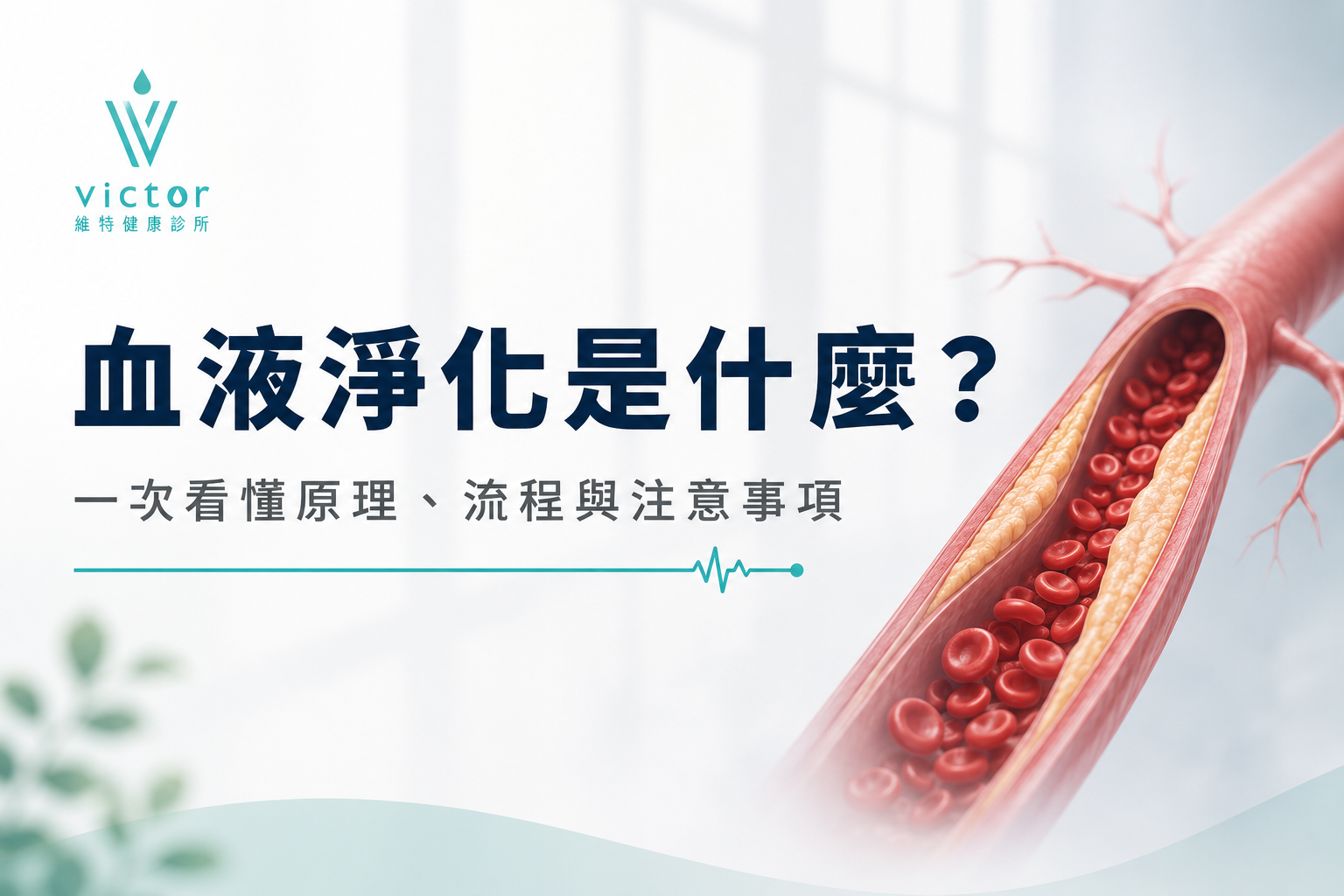 血液淨化是什麼？血管與紅色血球示意圖，左側有品牌標示與說明文字
