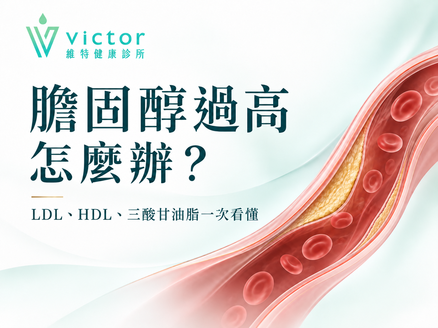 維克多健康廣告：血管與紅色血球，標題「膽固醇過高怎麼辦？」與LDL、HDL字樣