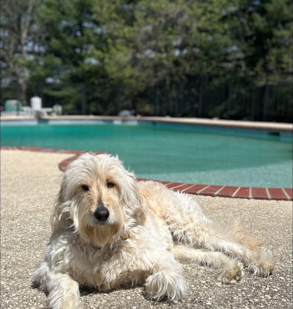 Mylin's Pool Water 12