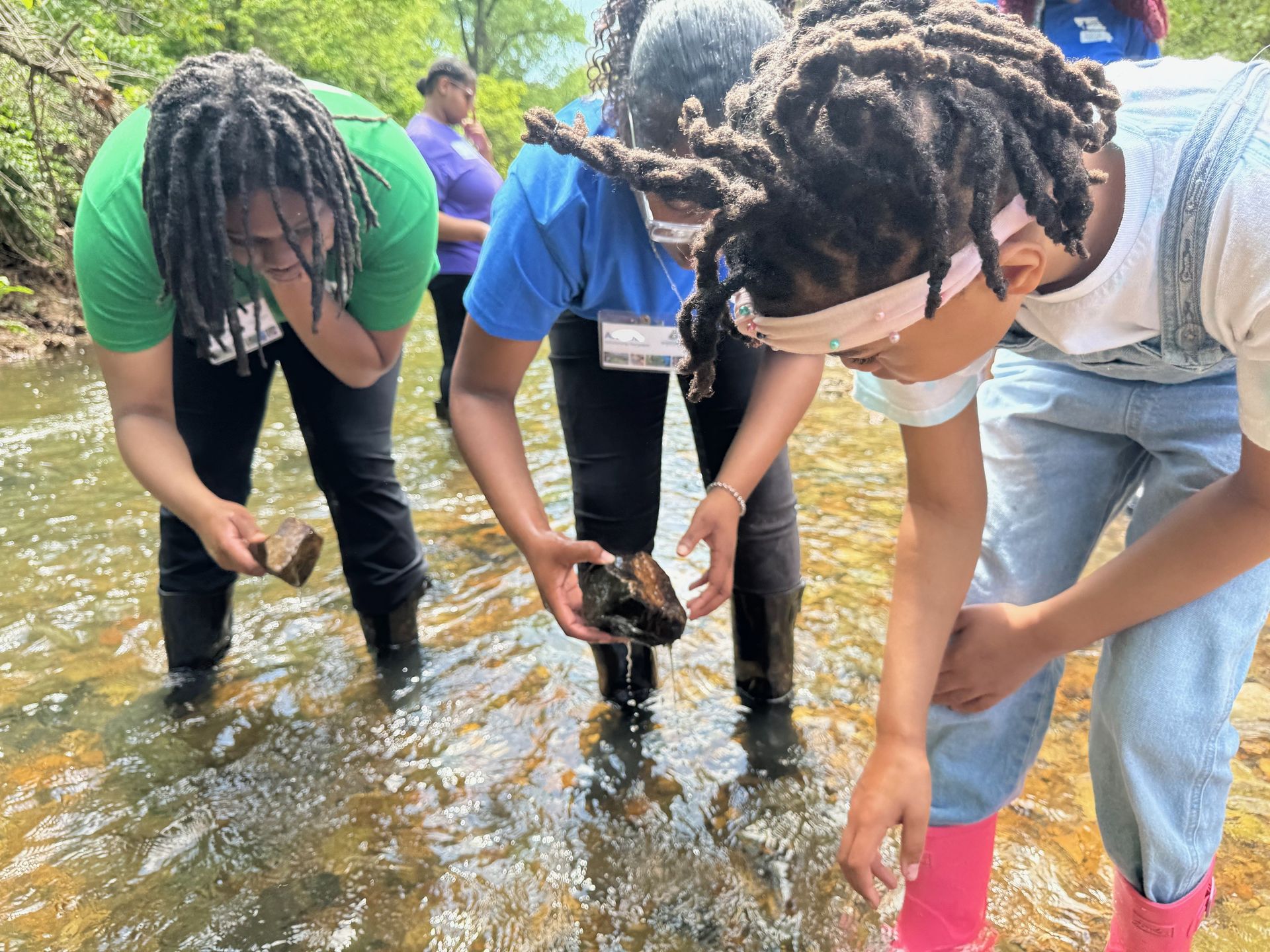 A group of people are standing in a stream looking at rocks.