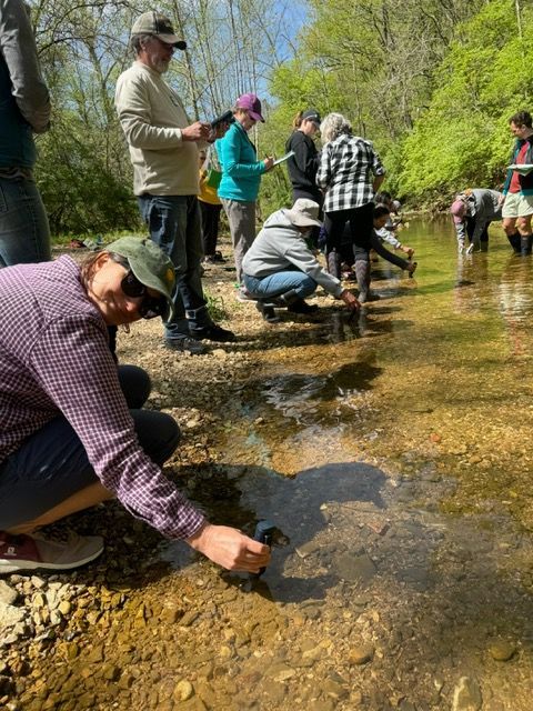A group of people are standing in a river.