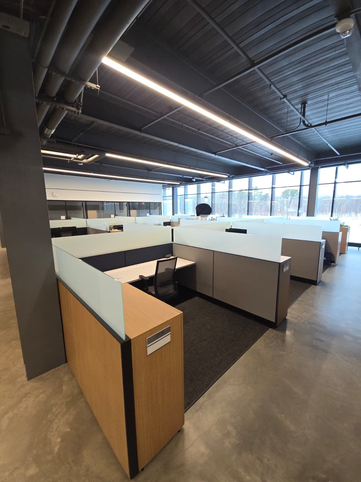 Modern office with white cubicles, black carpet, and exposed industrial ceiling lighting