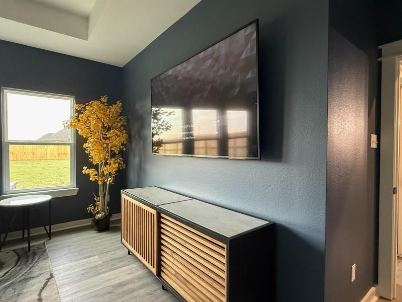 Dark blue room with a wall-mounted TV over a wooden cabinet. A yellow tree stands near a window.