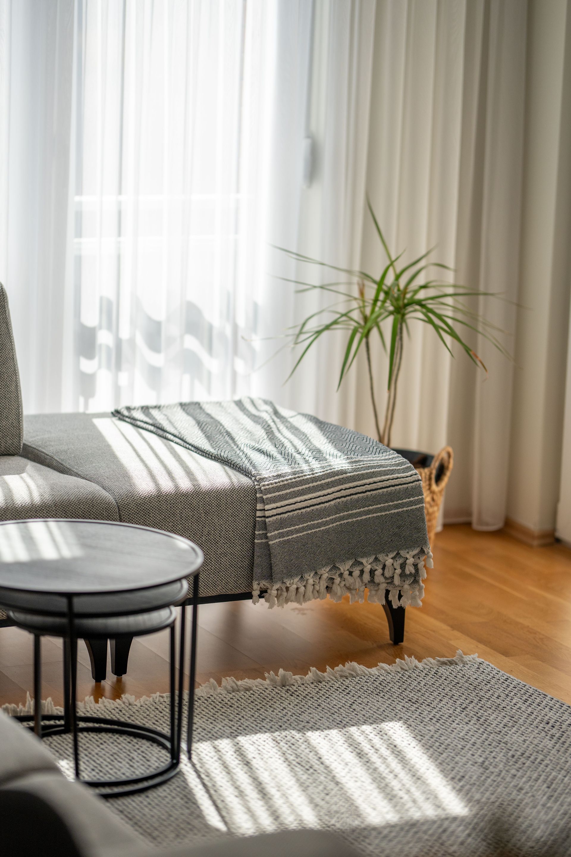 Bright living room with a couch, round table, potted plant, and sunlight on wooden floors and rug