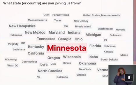An word cloud showing Minnesota as the largest segment of participants