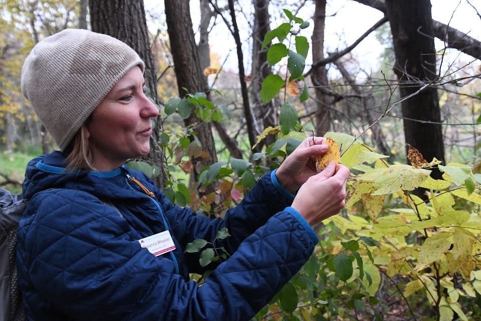 A photo of a young woman in the woods wearing a jacket and hat, holding some tree leaves