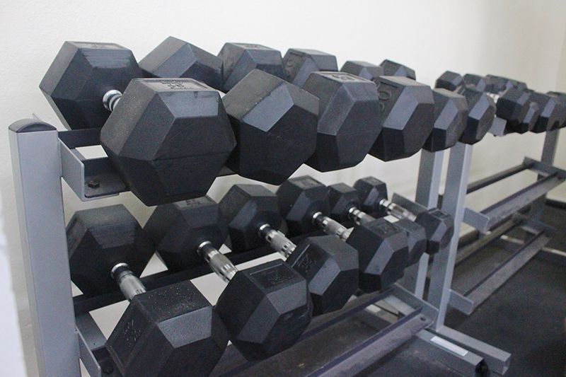 A bunch of dumbbells are lined up on a rack
