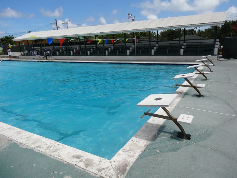 A swimming pool with a row of starting blocks in front of it