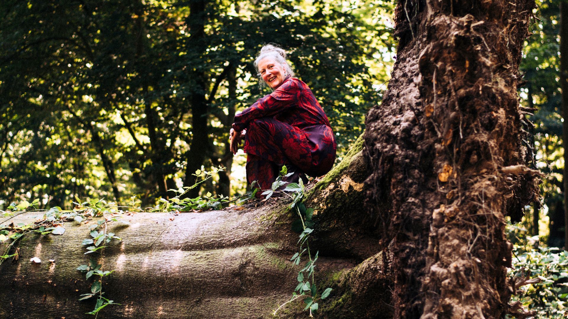 Silvia op boom Inner Grounding