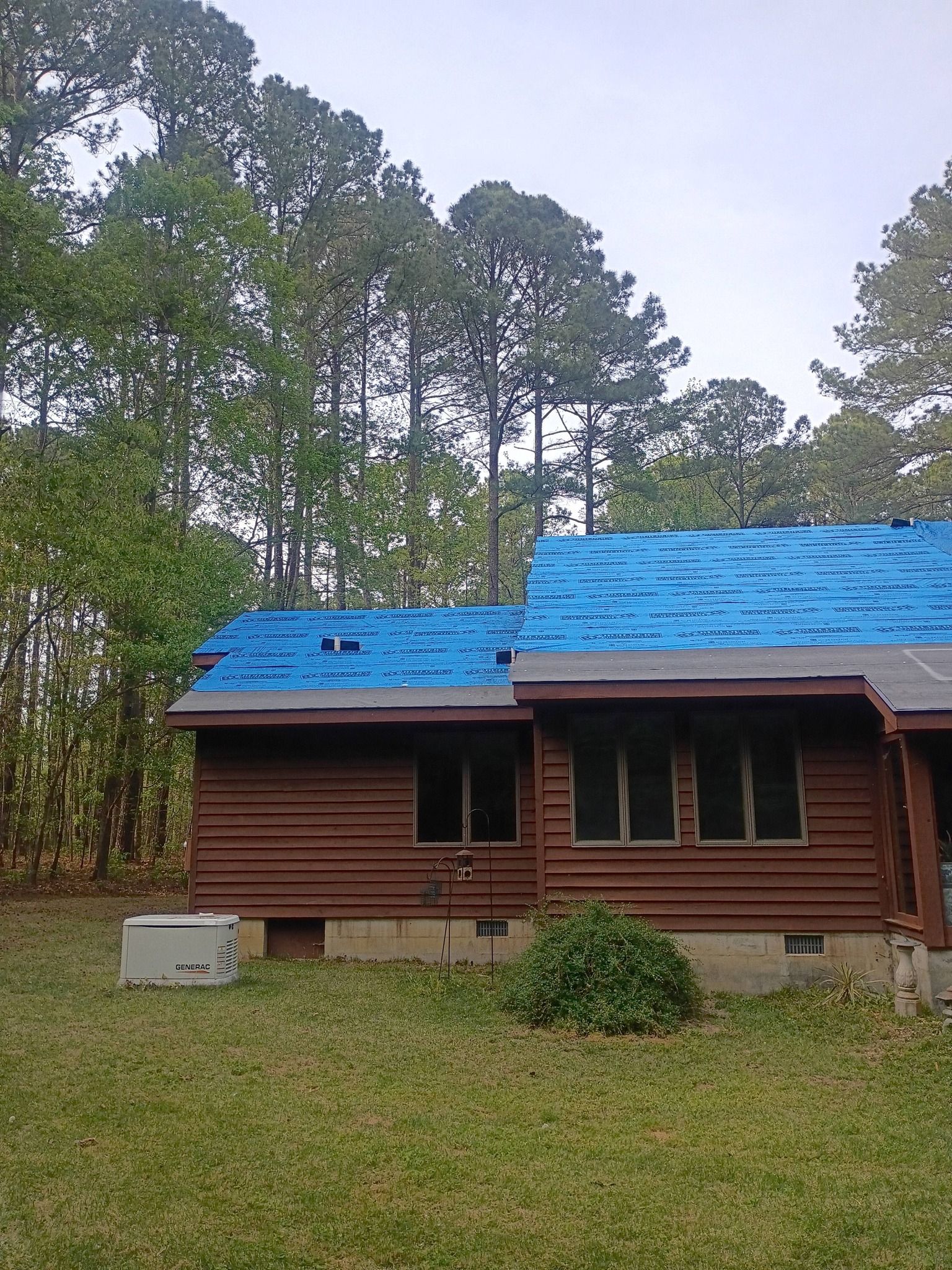Small wooden cabin with a bright blue roof in a grassy clearing, surrounded by tall trees.