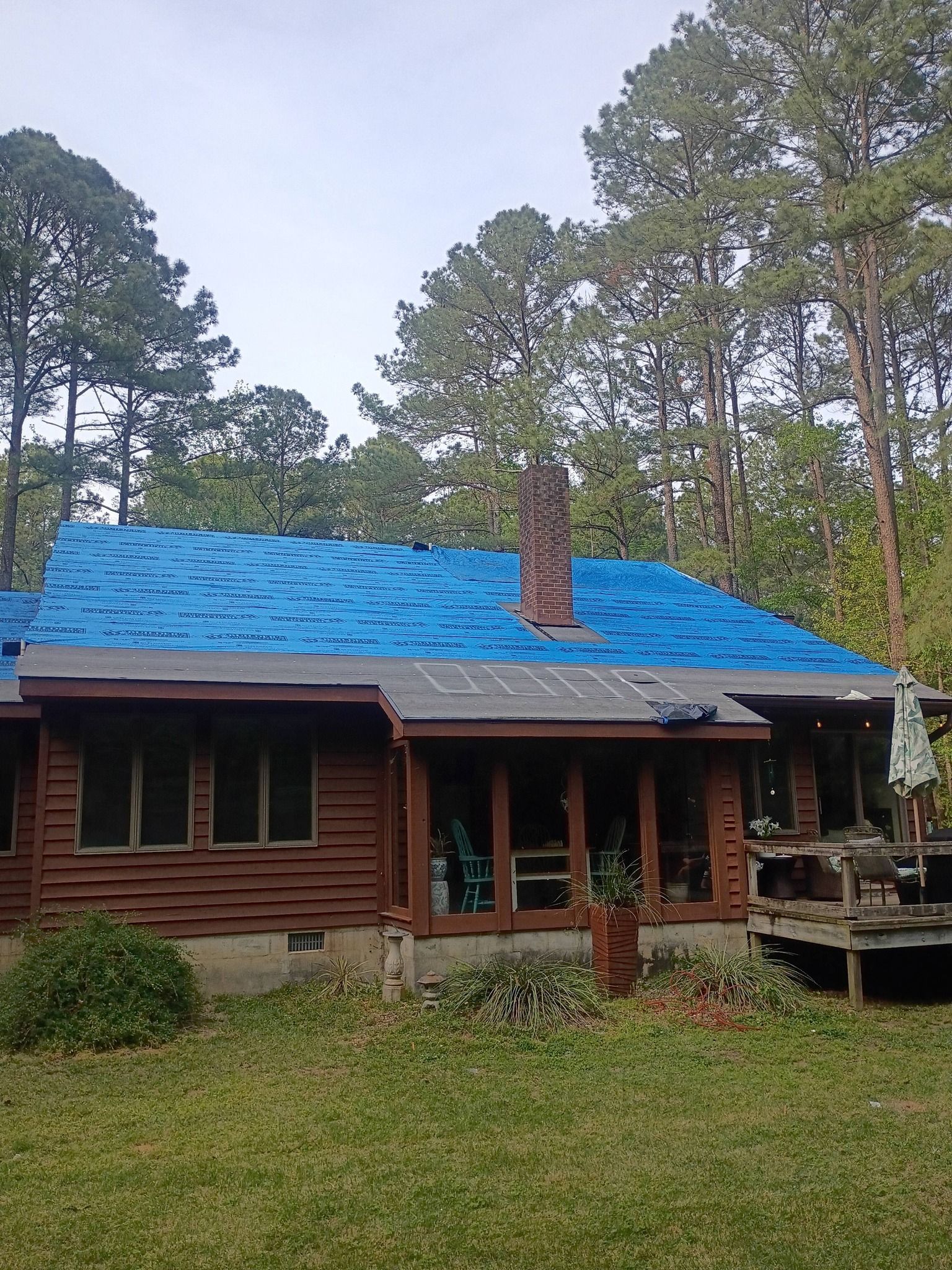 Rustic cabin with a bright blue roof and stone chimney, surrounded by pine trees and a grassy yard