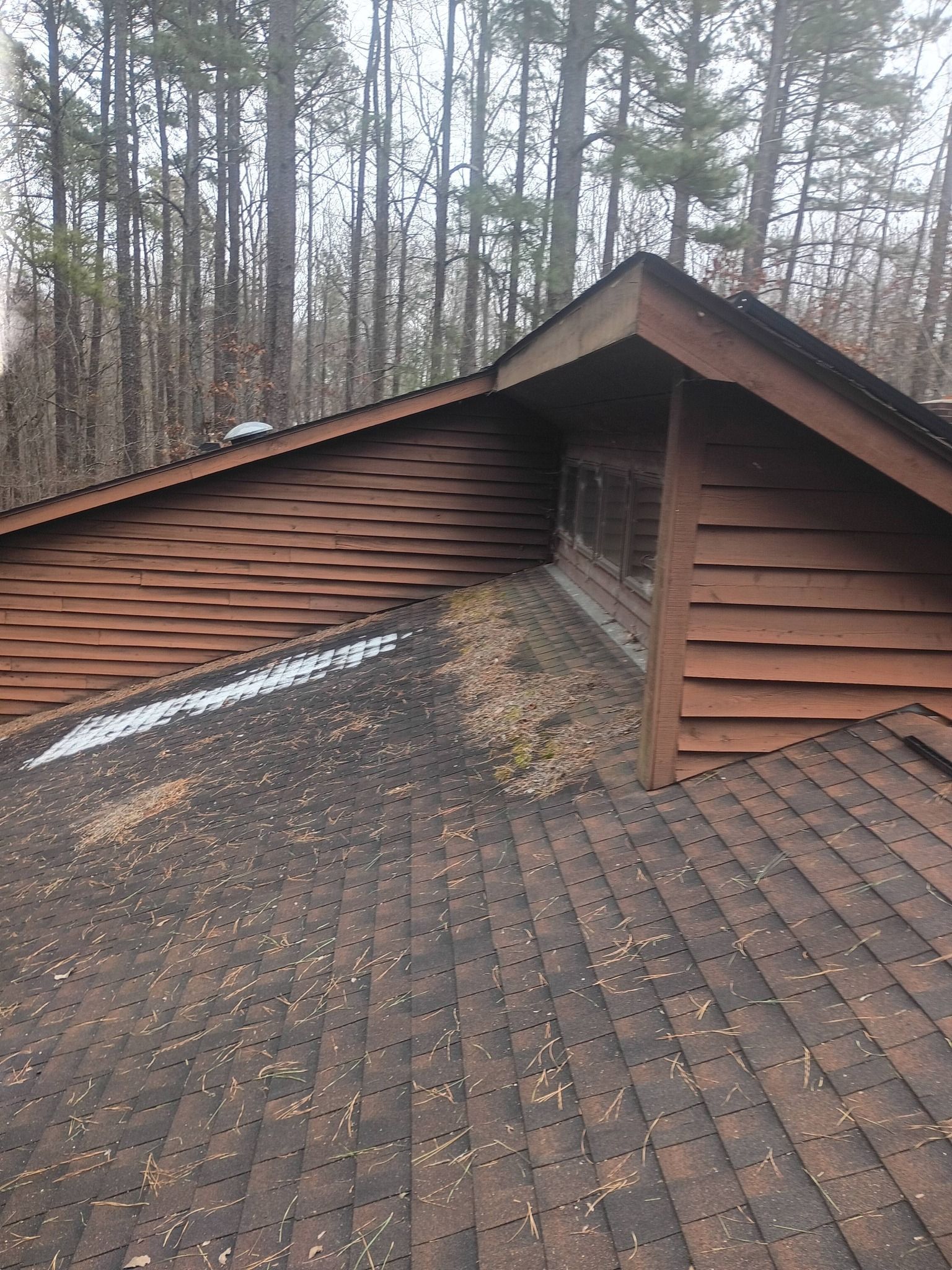 Brown shingle roof with a vent and light snow, backed by leafless trees